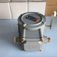 大量供應上海喬正防爆起重超載限製器BLX10-12