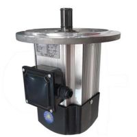 武漢軟啟動製動電機