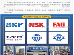 河南勇飛軸承有限公司已加入《起重彙采購指南》！
