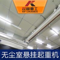 蘇州潔淨起重機