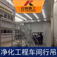 蘇州潔淨起重機